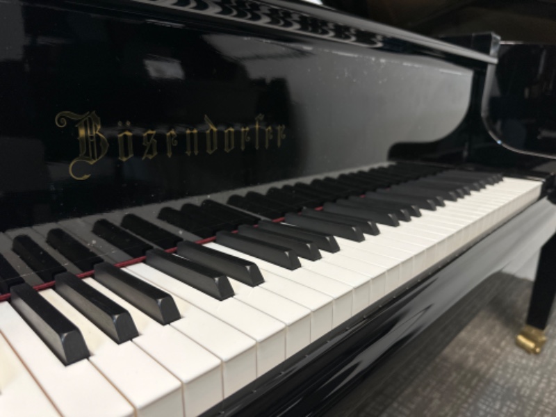 Additional image for Bosendorfer 170 VC